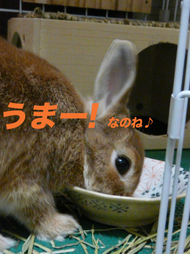 P1110327のコピー