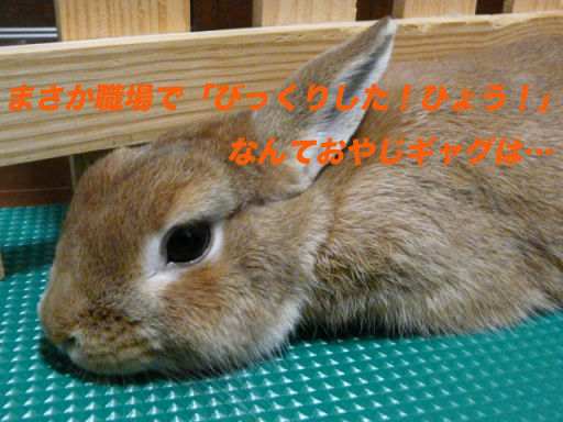 P1110819のコピー
