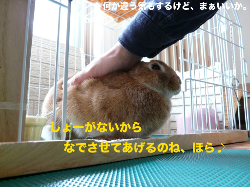 P1080702のコピー
