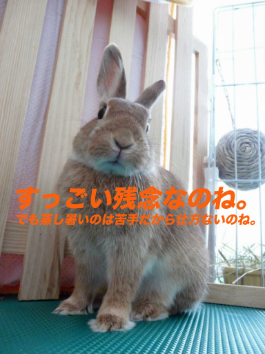 P1100175のコピー