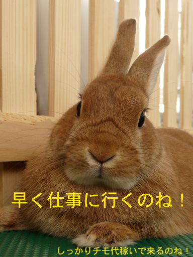 P1070808のコピー