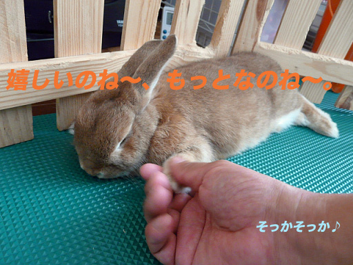 P1110433のコピー
