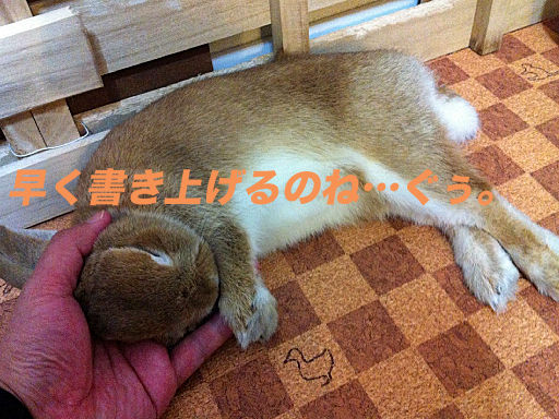 IMG_5639のコピー