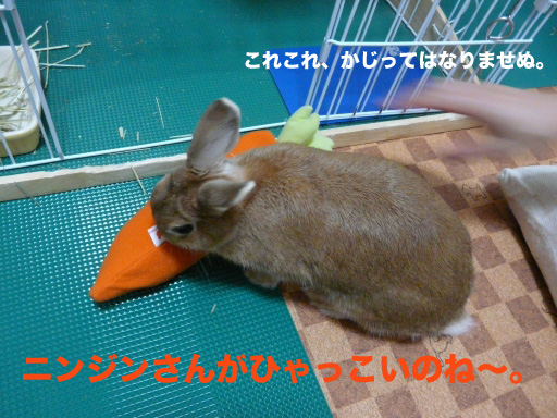 P1050960のコピー