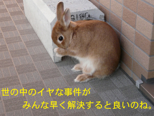 P1070702のコピー