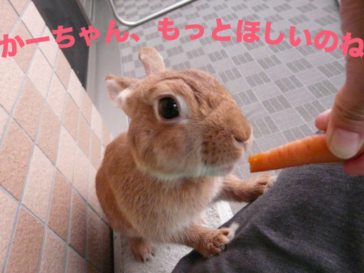 P1030944のコピー