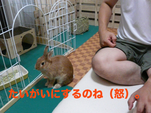 P1050927のコピー