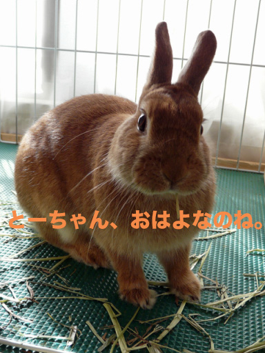 P1090834のコピー