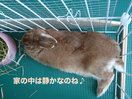 P1030929のコピー