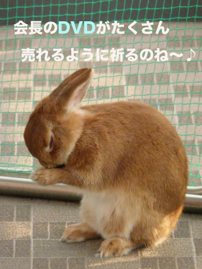 P1030688のコピー