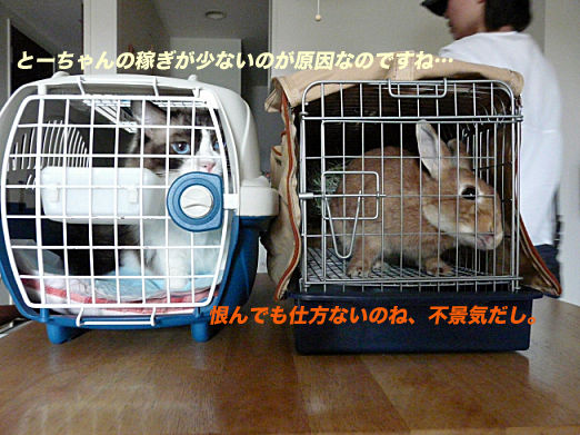 P1160009のコピー