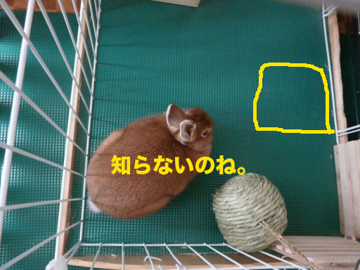 P1070226のコピー