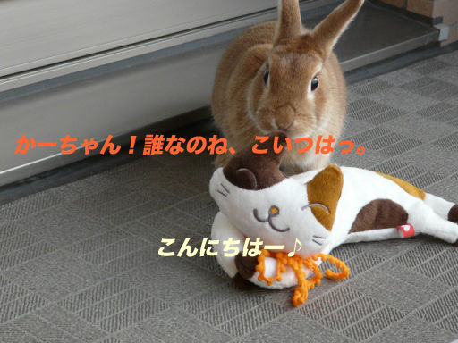 P1140755のコピ
