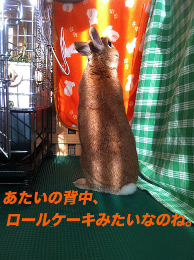 IMG_3437のコピー
