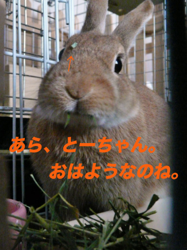 P1100280のコピー