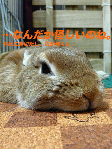 P1120916のコピー