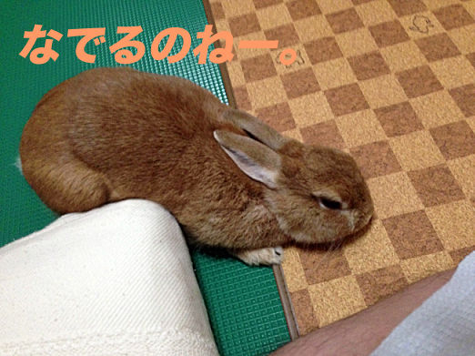 IMG_3902のコピー