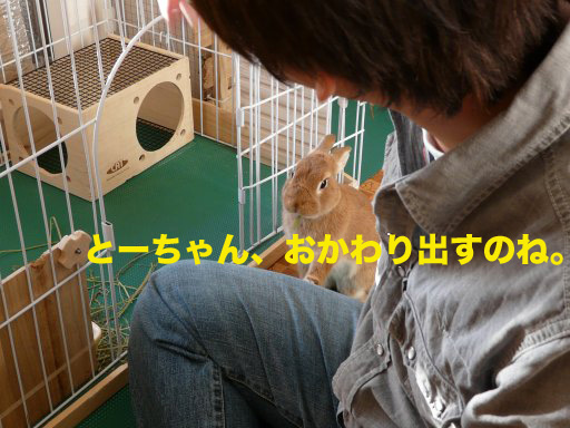 P1080274のコピー