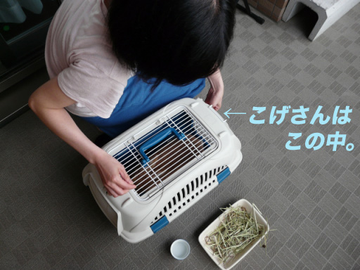 P1100266のコピー