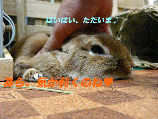 P1120913のコピー