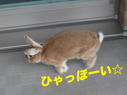 P1060675のコピー