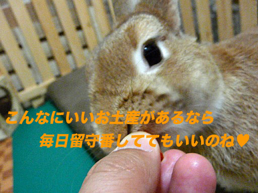 P1140946のコピ