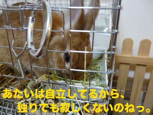 P1080555のコピー