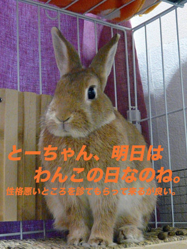 P1110673のコピー