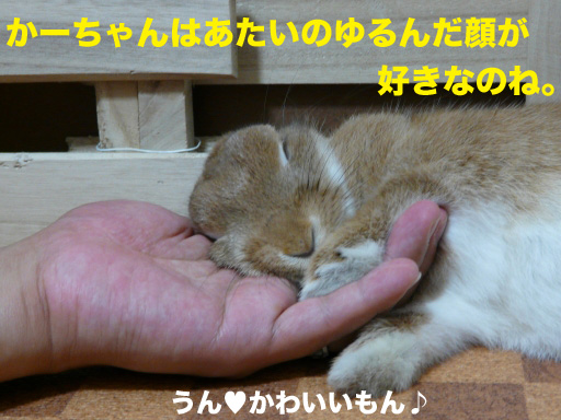 P1060500のコピー