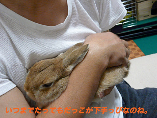 P1120202のコピー