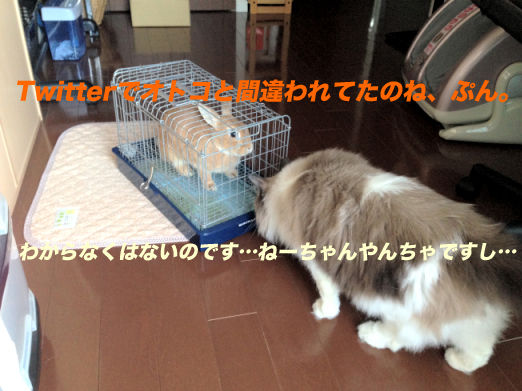 03のコピー