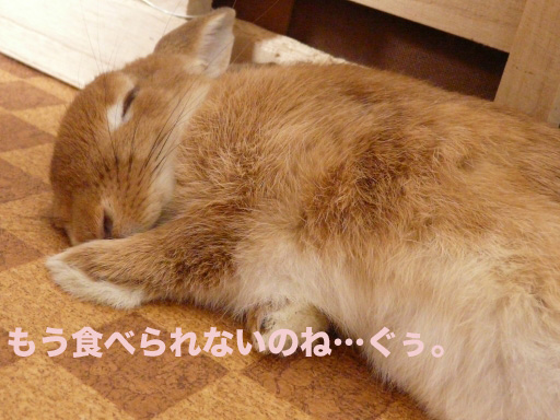 P1050675のコピー
