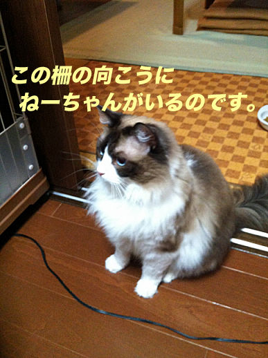 IMG_8970のコピー