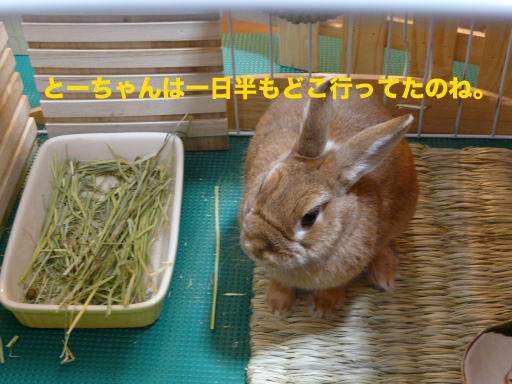 P1080553のコピー