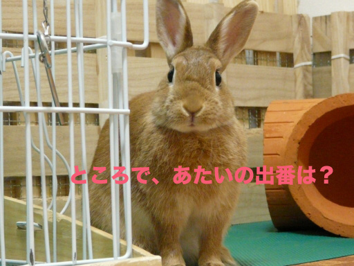 P1050025のコピー