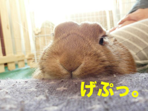P1080213のコピー