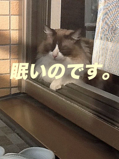 IMG_7815のコピー