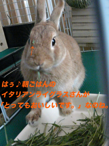 P1100279のコピー