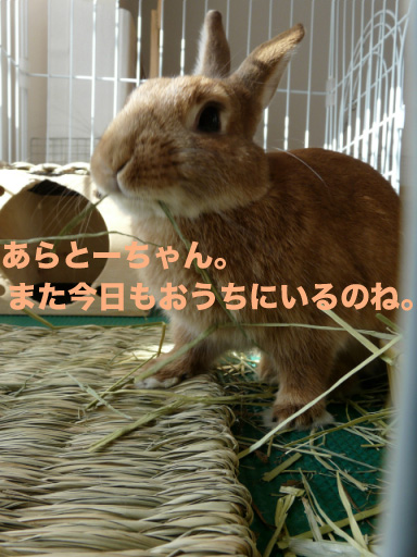 P1090362のコピー