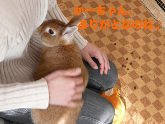 P1030338のコピー