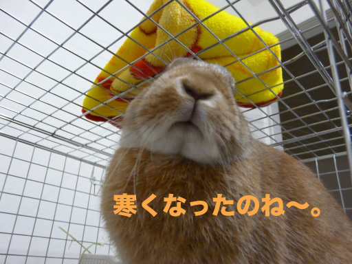 P1070568のコピー