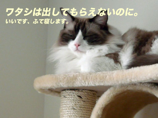 P1140751のコピ
