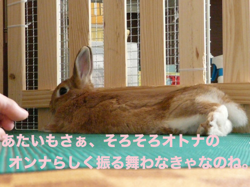 P1050258のコピー