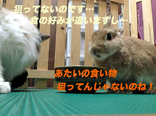 12のコピー