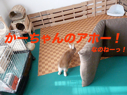 P1130291のコピー