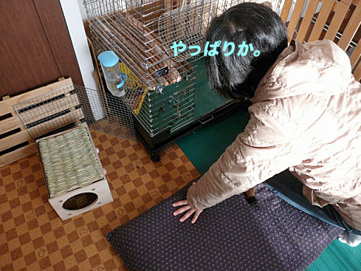 P1130180のコピー