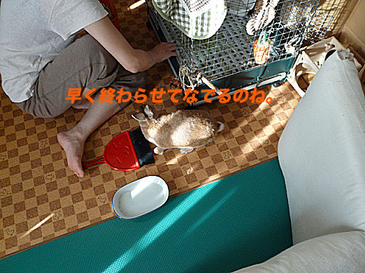 P1160150のコピー