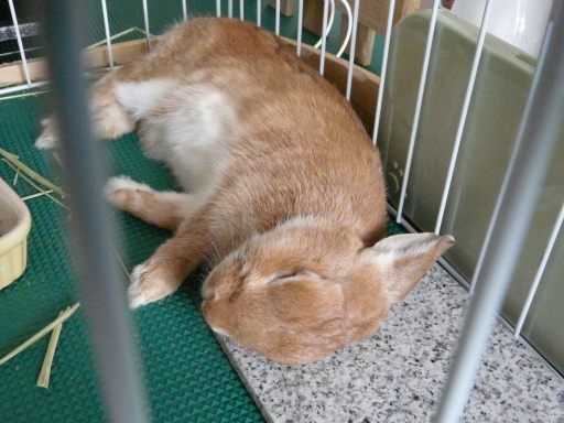 P1050240