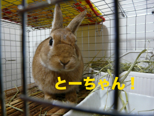 P1080592のコピー