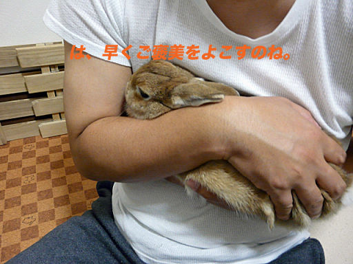 P1120201のコピー